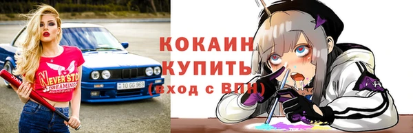 дживик Арсеньев