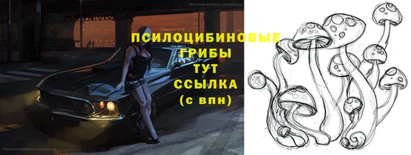 прущие грибы Баксан