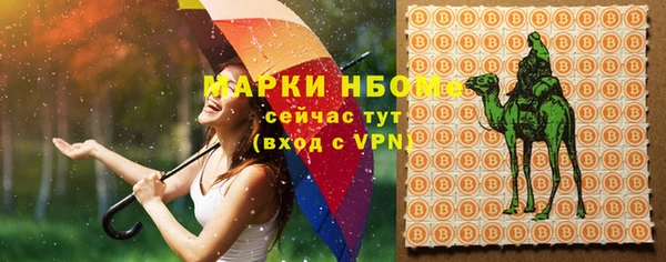 молекула духа Аркадак
