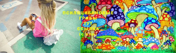 молекула духа Аркадак