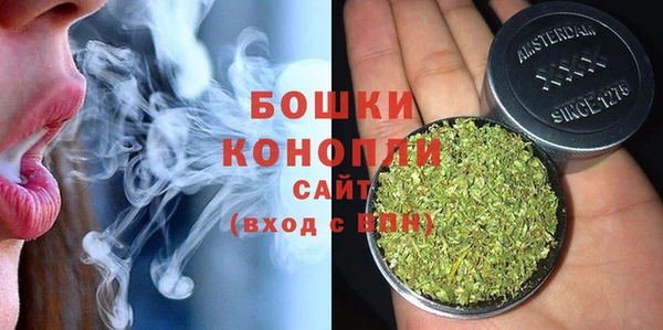 молекула духа Аркадак