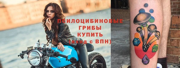 дживик Арсеньев