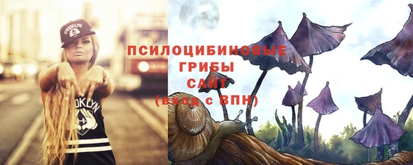 дживик Арсеньев